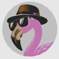 Cool flamingo